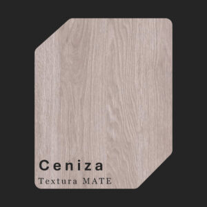 CENIZA